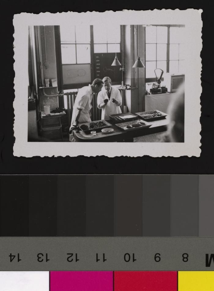 Cours d'anatomie pathologie du Prof. Jean-Louis Nicod.